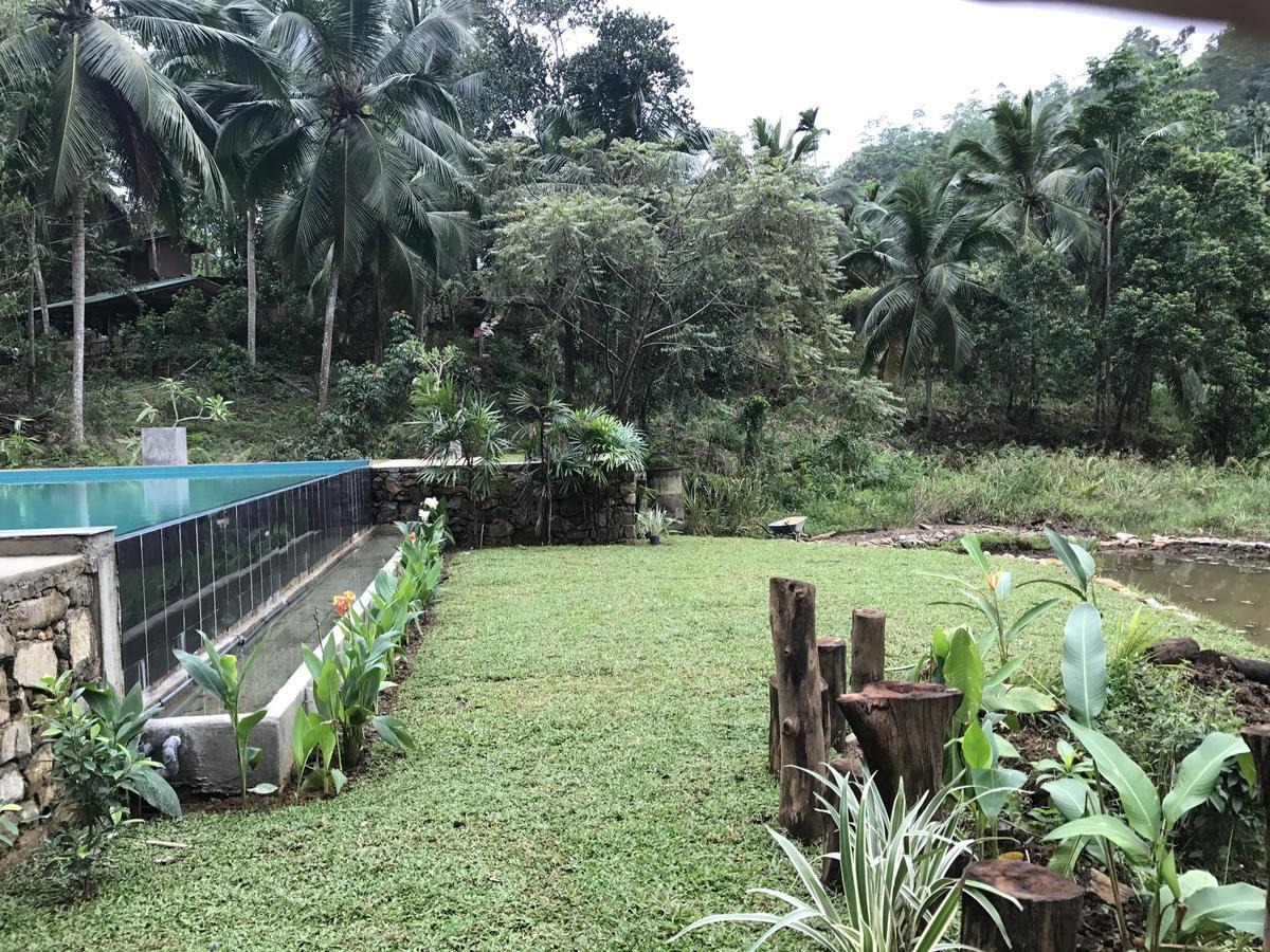 Explore Sinharaja Rain Forest Tour Camp Dombagoda Exterior photo